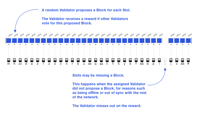 Validators proposing blocks and getting rewards. A missed proposal for some epoch's 28th slot.